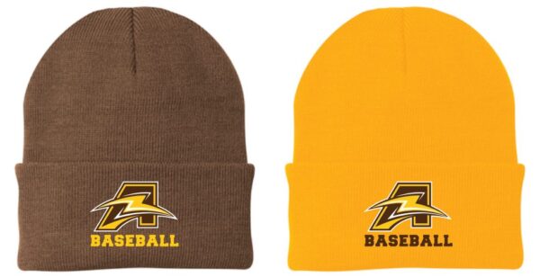 16.) Memorial Baseball CP90 Embroidered Knit Cap